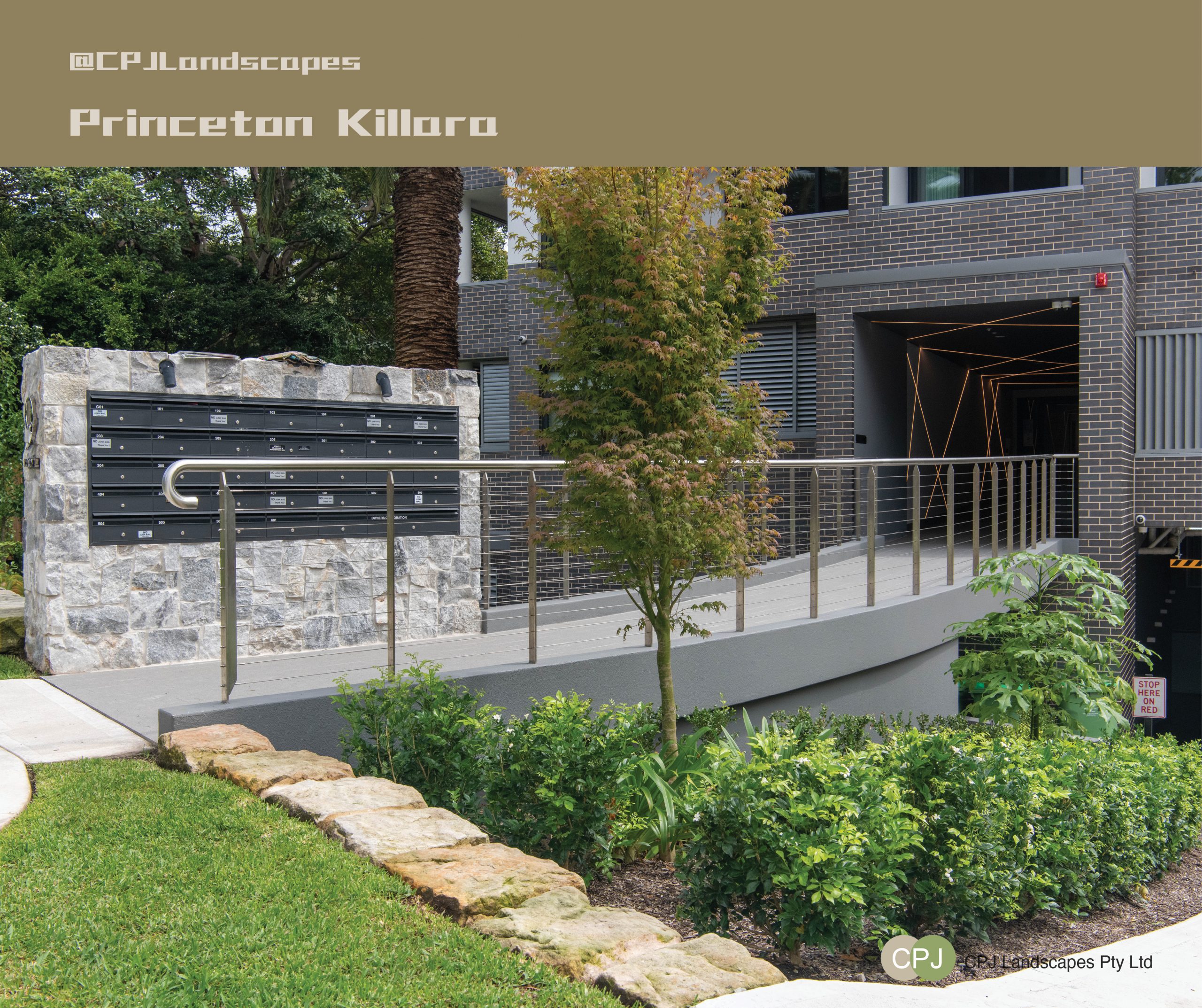 princeton5